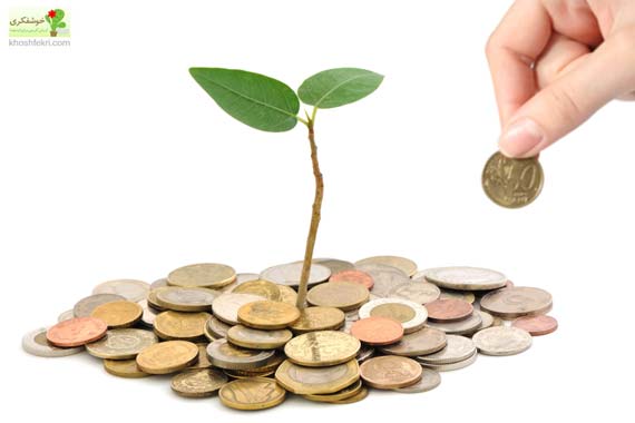 پشتیبان اول، سرمایه گذار مرحله کشت ایده Seed Funding