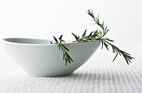 rosemary-khoshfekri