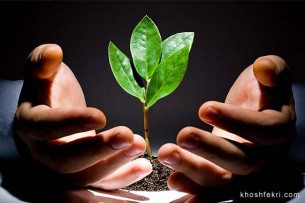 پشتیبان سوم Venture Capital