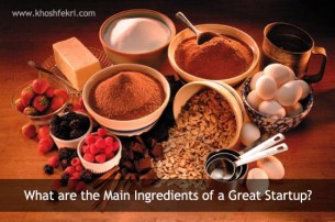 What are the Main Ingredients of a Great Startup?