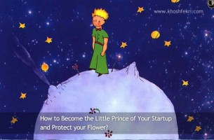 How to Become the Little Prince of Your Startup and Protect your Flower?