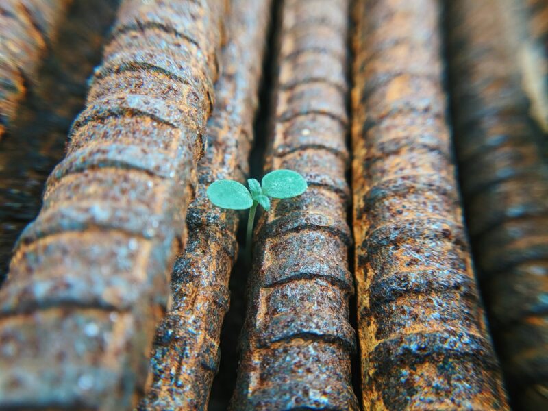Photo by Faris Mohammed on Unsplash